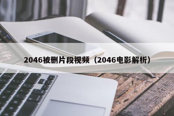 2046被删片段视频(2046电影解析)