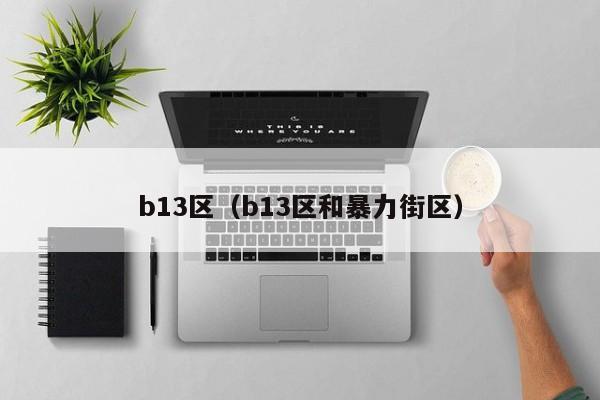 b13区(b13区和暴力街区)