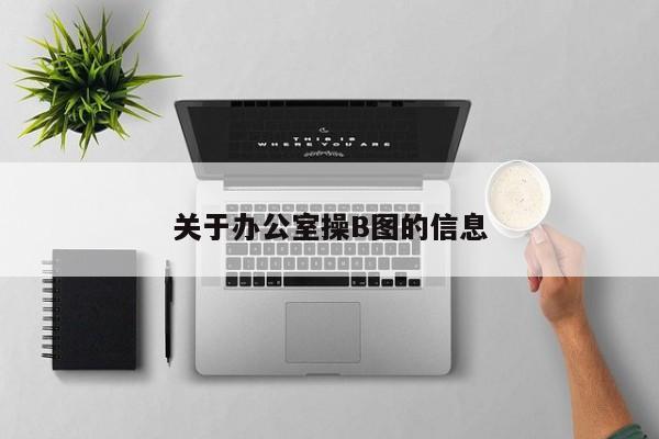 关于办公室操B图的信息