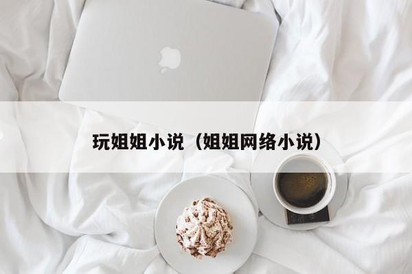 玩姐姐小说(姐姐网络小说)