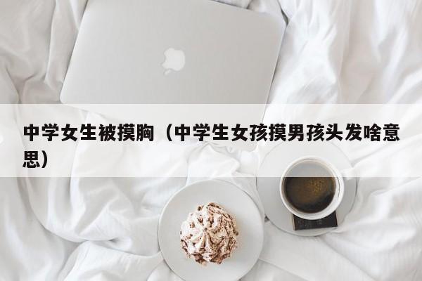中学女生被摸胸(中学生女孩摸男孩头发啥意思)