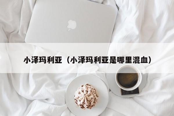 小泽玛利亚(小泽玛利亚是哪里混血)