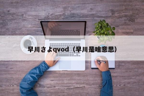 早川さよqvod(早川是啥意思)