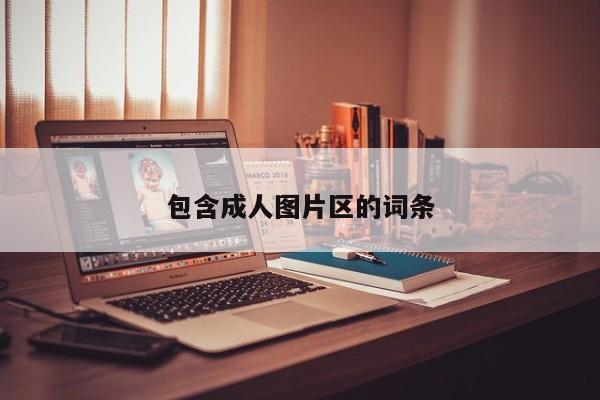 包含成人图片区的词条