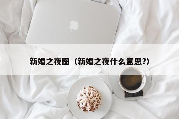 新婚之夜图(新婚之夜什么意思?)