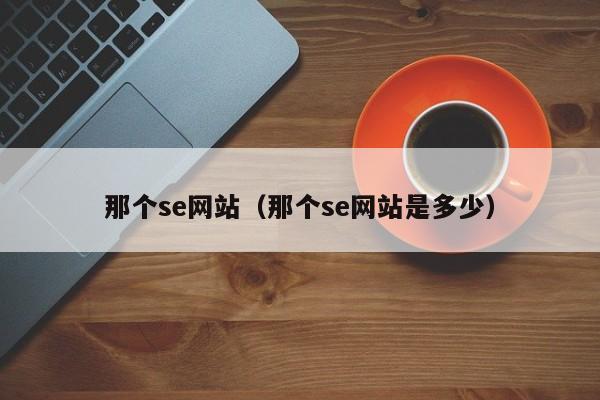 那个se网站(那个se网站是多少)