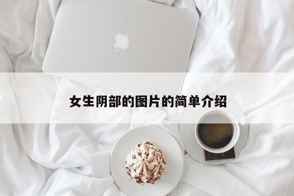 女生阴部的图片的简单介绍