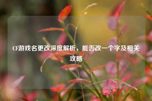 CF游戏名更改深度解析,能否改一个字及相关攻略
