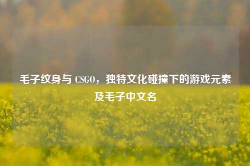 毛子纹身与 CSGO,独特文化碰撞下的游戏元素及毛子中文名