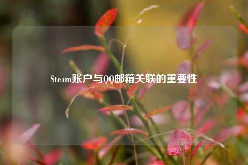 Steam账户与 邮箱关联的重要性