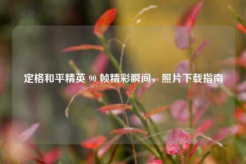 定格和平精英 90 帧精彩瞬间,照片下载指南