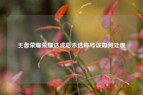 王者荣耀荣耀达成后未选称号该如何处理