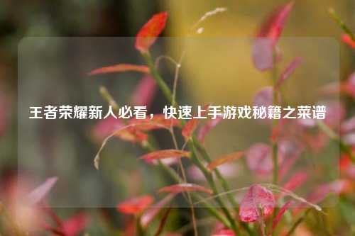 王者荣耀新人必看,快速上手游戏秘籍之菜谱