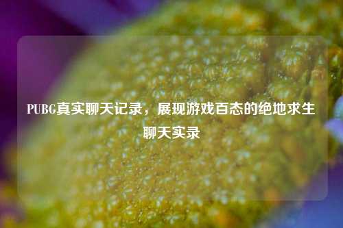 PUBG真实聊天记录,展现游戏百态的绝地求生聊天实录