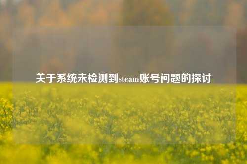 关于系统未检测到steam账号问题的探讨