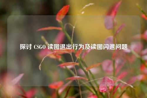 探讨 CSGO 读图退出行为及读图闪退问题