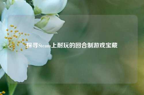 探寻Steam上耐玩的回合制游戏宝藏