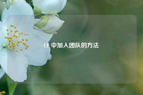 CF 中加入团队的