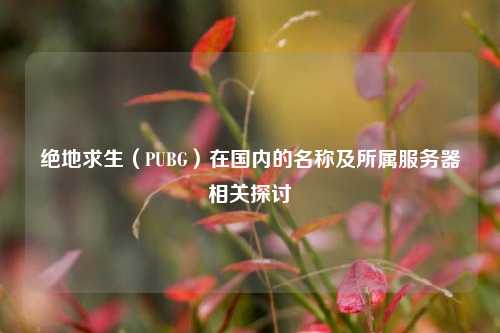 绝地求生（PUBG）在国内的名称及所属服务器相关探讨