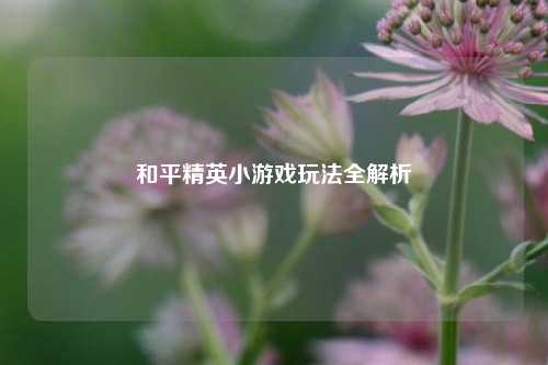 和平精英小游戏玩法全解析