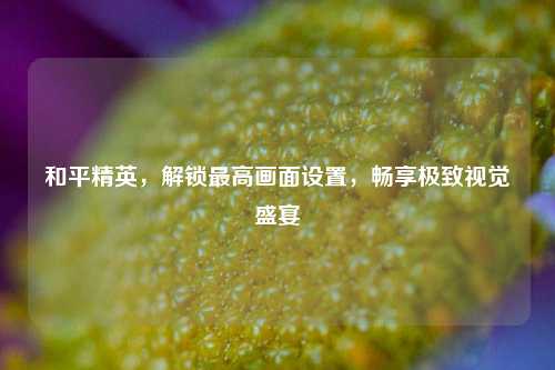 和平精英,解锁更高画面设置,畅享极致视觉盛宴