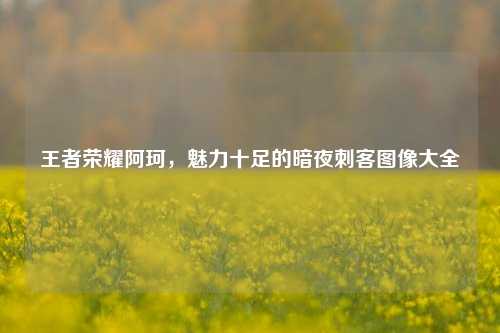 王者荣耀阿珂，魅力十足的暗夜刺客图像大全