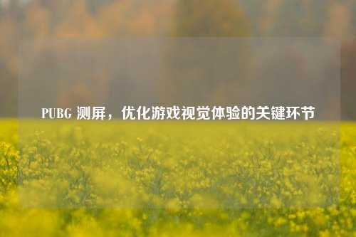 PUBG 测屏，优化游戏视觉体验的关键环节