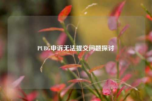 PUBG申诉无法提交问题探讨
