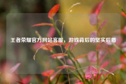 王者荣耀官方网站客服，游戏背后的坚实后盾
