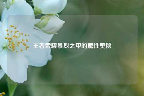 王者荣耀暴烈之甲的属性奥秘