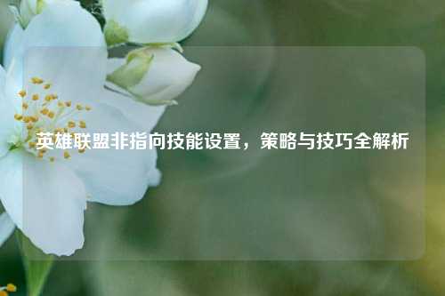 英雄联盟非指向技能设置，策略与技巧全解析
