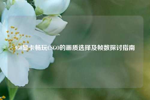950显卡畅玩CSGO的画质选择及帧数探讨指南