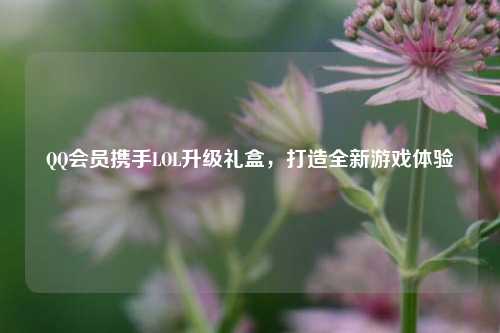 QQ会员携手LOL升级礼盒，打造全新游戏体验