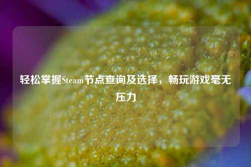 轻松掌握Steam节点查询及选择，畅玩游戏毫无压力