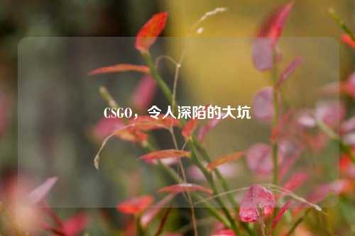 CSGO,令人深陷的大坑
