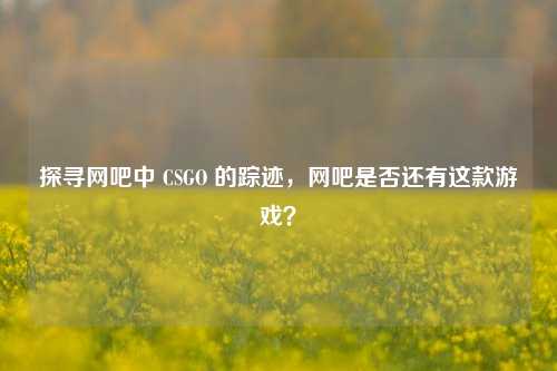 探寻网吧中 CSGO 的踪迹，网吧是否还有这款游戏？