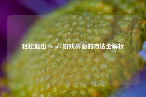 轻松退出 Steam 游戏界面的方法全解析