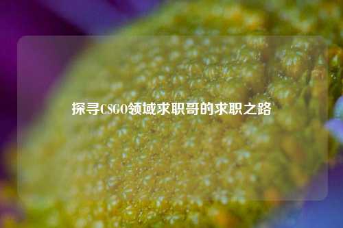 探寻CSGO领域求职哥的求职之路