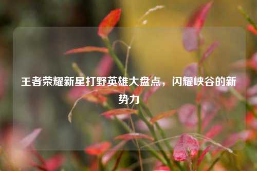 王者荣耀新星打野英雄大盘点，闪耀峡谷的新势力