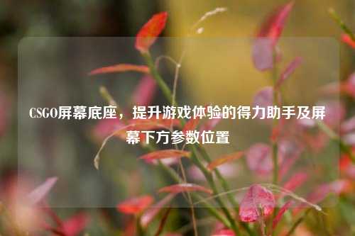 CSGO屏幕底座，提升游戏体验的得力助手及屏幕下方参数位置