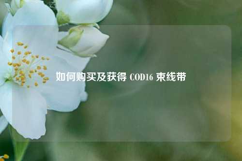 如何购买及获得 COD16 束线带