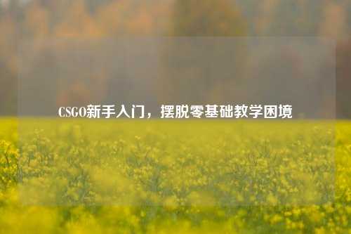 CSGO新手入门，摆脱零基础教学困境
