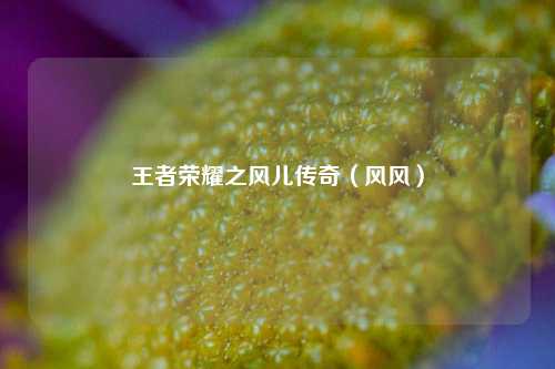 王者荣耀之风儿传奇（风风）
