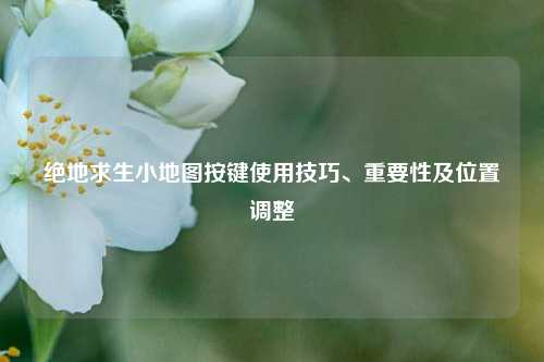 绝地求生小地图按键使用技巧、重要性及位置调整