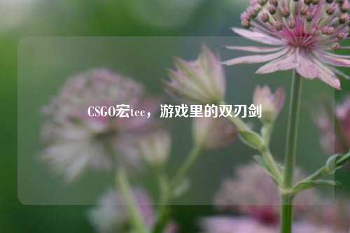 CSGO宏tec，游戏里的双刃剑
